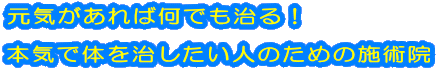 元気があれば何でも治る！  本気で体を治したい人のための施術院 